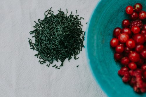 Spiruline vermicelle